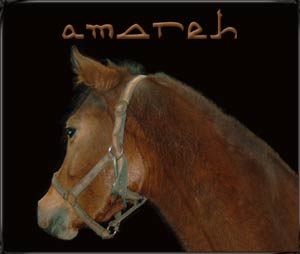 Amareh Dez. 2003